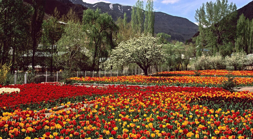 باغ گیاهشناسی تهران